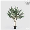 EDG Enzo De Gasperi Olivo con Vaso H 157 Cm Pianta Artificiale Anti Uv Verde