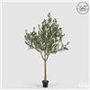 EDG Enzo De Gasperi Olivo con Vaso H 208 Cm Pianta Artificiale Anti Uv Verde