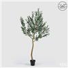 EDG Enzo De Gasperi Olivo con Vaso H 200 Cm Pianta Artificiale Anti Uv Verde