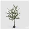EDG Enzo De Gasperi Olivo con Vaso H 190 Cm Pianta Artificiale Verde