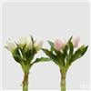 EDG Enzo De Gasperi Bouquet 5 Tulipani Olis Ass. H 28 Cm White Pink 1 Pz
