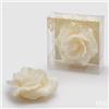 EDG Enzo De Gasperi Candela a forma di Rosa Galleggiante D11 (No-Perlata) 8 Ivory Avorio