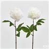 EDG Enzo De Gasperi Peonia Olis Ramo H 65 Cm 1 Pz Bianco