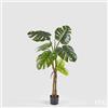 EDG Enzo De Gasperi Monstera Slim Con Vaso Artificiale H 130 Cm Green