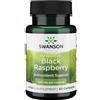 SWANSON Lampone Nero 425 mg 60 St