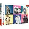 Trefl Puzzle da 500 Pezzi Trefl - Kittens Gattini assortiti