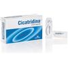 Cicatridina FARMA-DERMA Cicatridina Ovuli Vaginali 10 x 2 g con Acido Ialuronico Sale Sodico 5mg | Ovuli Acido Ialuronico | Riparazione della mucosa Vaginale | Secchezza vaginale | Azione Idratante e Emolliente