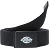 DICKIES ORCUTT Cintura