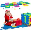 Avilia Tappeto gioco per bambini e Bambine con Numeri - Ideale per Bambini di 1 anno e 2 anni - Ottimo Come Aiuto per i neonati nella Fase di gattonamento - Morbido e Resistente - 50x50 cm