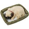 DRW Simulazione Cane Carlino con movimento di respirazione marrone chiaro 23 x 19 x 10 cm