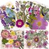 LICAEVEY 100 Fiori Secchi Pressati per Resina, Kit di Fiori Pressati Secchi per Scrapbooking, Artigianato Artistico, Gioielli in Resina, Custodie per Telefoni in Resina, Candele, (Tipo 2)