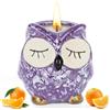 Alaoo Candele Profumate All'Arancia Dolce con Gufo Decorativo, Fragranza Rilassante, Fragranza di Lunga Durata, Regali di Natale, Regali di Compleanno, Regali di San Valentino(Viola)