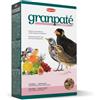 PADOVAN UCCELLI GRANPATEE FRUTTA 1 KG