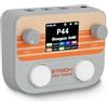 STRICH Pipe Tones Pocket Multi-Effects Processor per chitarra e basso con 10 moduli effetto 125 effetti Looper 40s 100 pattern di batteria Interfaccia audio USB Controllo wireless (Grigio)