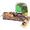 Vogelgaleria® Asta in sughero per pappagalli, 10 cm, con splendida corteccia di sughero per sedersi e sgranocchiare, posatoio per uccelli e cura degli artigli