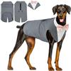 Hjyokuso Vestiti Per Cani, Abito Smoking Per Cani, Papillon Cane, Costume Cane Per Cani Di Taglia Piccola Media Grande, Vestito Natale CaneVestito Cane Per Compleanni Matrimoni e Halloween - (S-2XL)