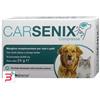 SHEDIR PHARMA SRL UNIPERSONALE CARSENIX 30 COMPRESSE
