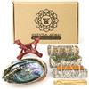 MUT22 Kit Incenso, Palo Santo, Salvia bianca con cannella, Salvia del Deserto, Ruta, Conchiglia di Abalone - Kit Completo per Purificazione e Armonizzazione