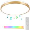 Horevo 30CM Plafoniera Bluetooth con Telecomando, Plafoniera oro Champagne 24W, Luce Dimmerabile e Cambia Colore con Luce Altoparlante Adatto per Camera da Letto dei Bambini Camera da Letto