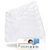 Third of Life BLANCO piumino mezza stagione 135x220 | Regolazione umidità e alta traspirabilità | Igiene perfetta per chi soffre di allergie | Massimo comfort primavera e autunno | Dimensioni 135x220 cm