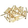 QUARKZMAN 70Pz Chiodi in Ottone 2x20mm(DxL) Chiodi per Quadri Muro Testa Rotonda Piccoli in Ottone Hardware per Progetti Fai da Te in Legno Scatole Decorative Casa, Tonalità Ottone