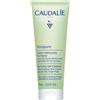 CAUDALIE ITALIA Srl VINOPURE GEL DET PURIF 75ML
