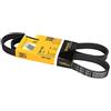 CONTITECH 5 PK 1165 Cinghie Trapeiz