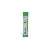 SEPIA OFFICINALIS 5CH GRANULI