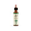 Centaury Fiori di Bach 20ml