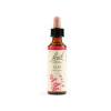 Fiori di Bach Elm 20ml
