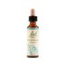Rock Water Fiore di Bach Originale 20ml
