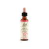 Star of Bethlehem Bach Original Fiori di Bach 20ml