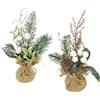 Flair Flower Mini alberi di Natale artificiali, con bacche, coni, stella, rami di abete in vaso di iuta, 23 cm, set da 2 pezzi, fiori artificiali, fiori invernali, piante, rami, decorazione natalizia, decorazione