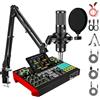 TENLAMP Apparecchiatura per podcast G10, Interfaccia audio con effetti soundboard, Kit microfono a condensatore da 3,5 mm, braccio braccio, correzione del passo hardware a latenza zero, riduzione del