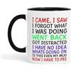 Gift Island Tazza con scritta I Came I Saw I Forgot - ADHD tazza divertente regalo per donne per compleanno - Natale - mamma, amica, sorella e collega Secret Santa Work - Citazioni - 325 ml (manico