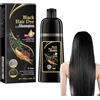 Dyceittdia Shampoo per la Tintura Dei Capelli, 100ml Shampoo Naturale per Capelli Neri, 3-In-1 Shampoo Colorante, Idratazione dei capelli, Shampoo Detergente e Riparatore, Nero,hair3