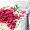 ZINGY ZOO Lamponi Liofilizzati Senza Zucchero | 100% Naturale Frutta Liofilizzata | Freeze Dried Fruit Raspberry Frutti di Bosco Disidratati | Frutti Rossi Disidratati | Lamponi Disidratati (100g)