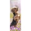 Magnet & Steel Calendario sottile 2025 Yorkshire Terrier