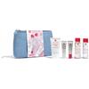 ERBORIAN Kit Beauty Routine Viso Lenitiva e Illuminante | Gel Detergente, Olio Struccante, Crema Idratante, CC Cream Doré & CC Eye Doré | Formato Viaggio | 5 Trattamenti