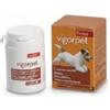 CANDIOLI S.P.A. VIGORPET CANI 20 COMPRESSE
