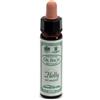 SANTIVERI Sa AINSWORTHS HOLLY 10ML