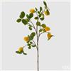 EDG Enzo De Gasperi Limone Rex Ramo C/7 Frutti H110 B9 Yellow Green