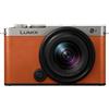 Panasonic LUMIX S9 N Kit 18-40 mm argento scuro x pelle arancione cammello