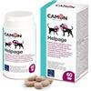 CAMON | HelpAge Vet, 60 Compresse, Alimento Complementare per Cani Anziani e Sportivi, 1000mg