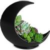 Oakadoaks Fioriera da tavolo - Fioriera da tavolo - Fioriera Boho per piante da interno, piante grasse, piante aeree, cactus, piante artificiali, regali da strega per donne, compleanni, amanti delle