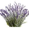 Flojery Fiori di lavanda artificiali con seta floccata pianta di lavanda falso per matrimonio casa tavolo centrotavola decorazione confezione da 4