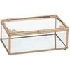 DRW Scatola rettangolare con coperchio in vetro e metallo in oro 15x11x5,3 cm