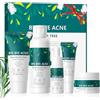 BeauBase Set per la Cura della Pelle con Tea Tree per Acne, per Adolescenti e Adulti - Detergente, Tonico, Siero, Crema e Gel per il Controllo dell'Acne e Pelle Pura