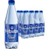Vytautas Acqua Minerale Naturale Frizzante da 1 Litro, Confezione da 6 per un'idratazione Massima Ricca di Minerali Essenziali come Calcio, Magnesio Acqua Funzionale ad Alta Mineralizzazione