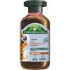 SPERLARI Srl ANTICA ERB 2IN1 SH LATTE MAND